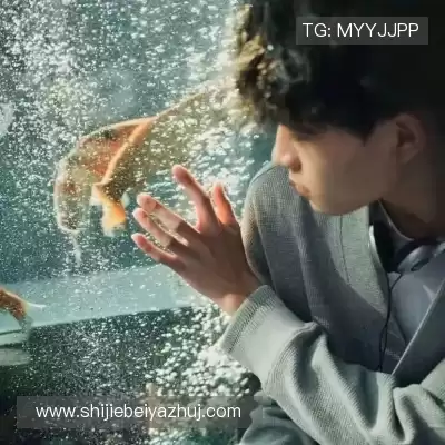 姬珉禹